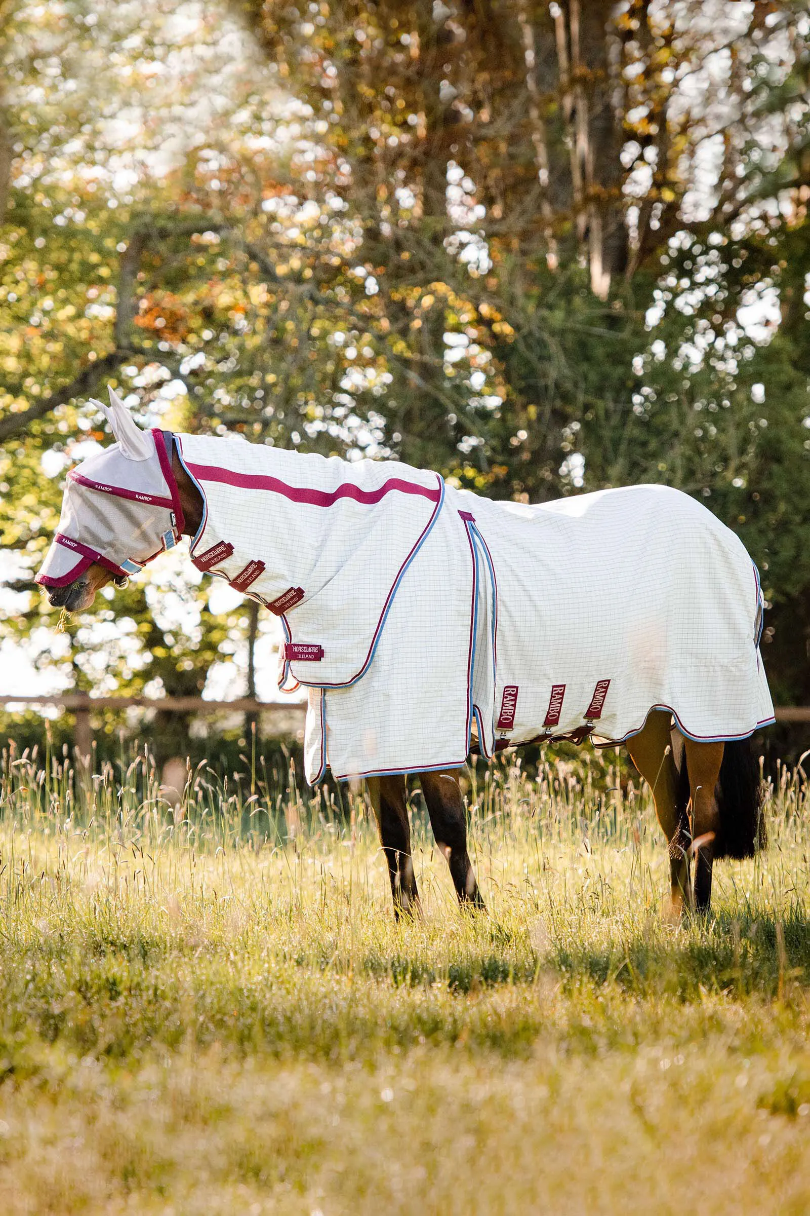 Horseware Chemise d'été Rambo Optimo Supreme