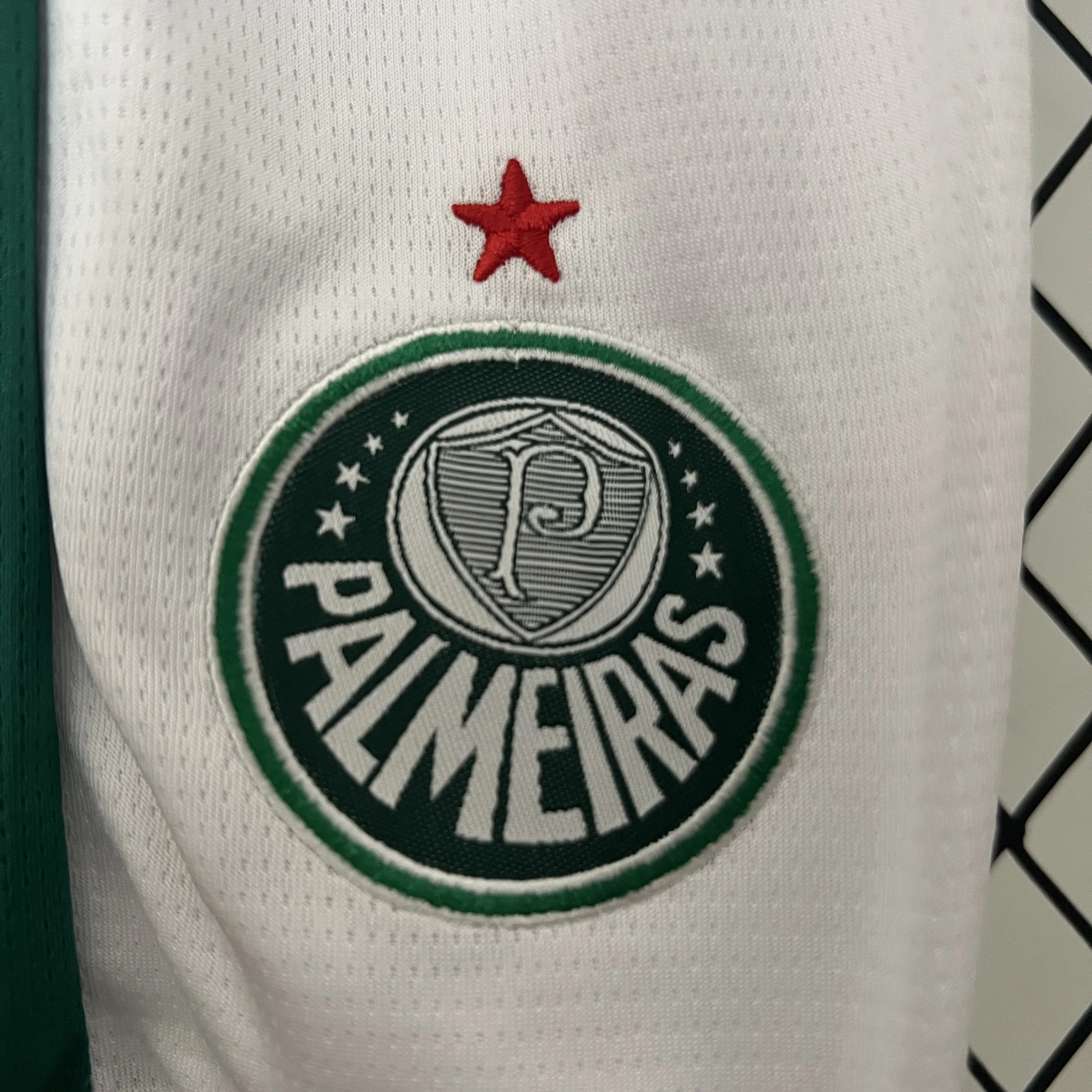 Palmeiras Equipamento Principal 2024/25 Kit-Criança